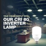 Havells 30W high wattage Bulb | High CRI & High Efficiency | Energy Efficient | Mercury-Free | 4KV Surge Protection | 100 Lumens Per Watt |Cool Day Light (6500K) - Image 6